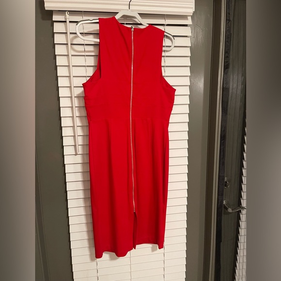 Express Dress - Picture 6 of 9